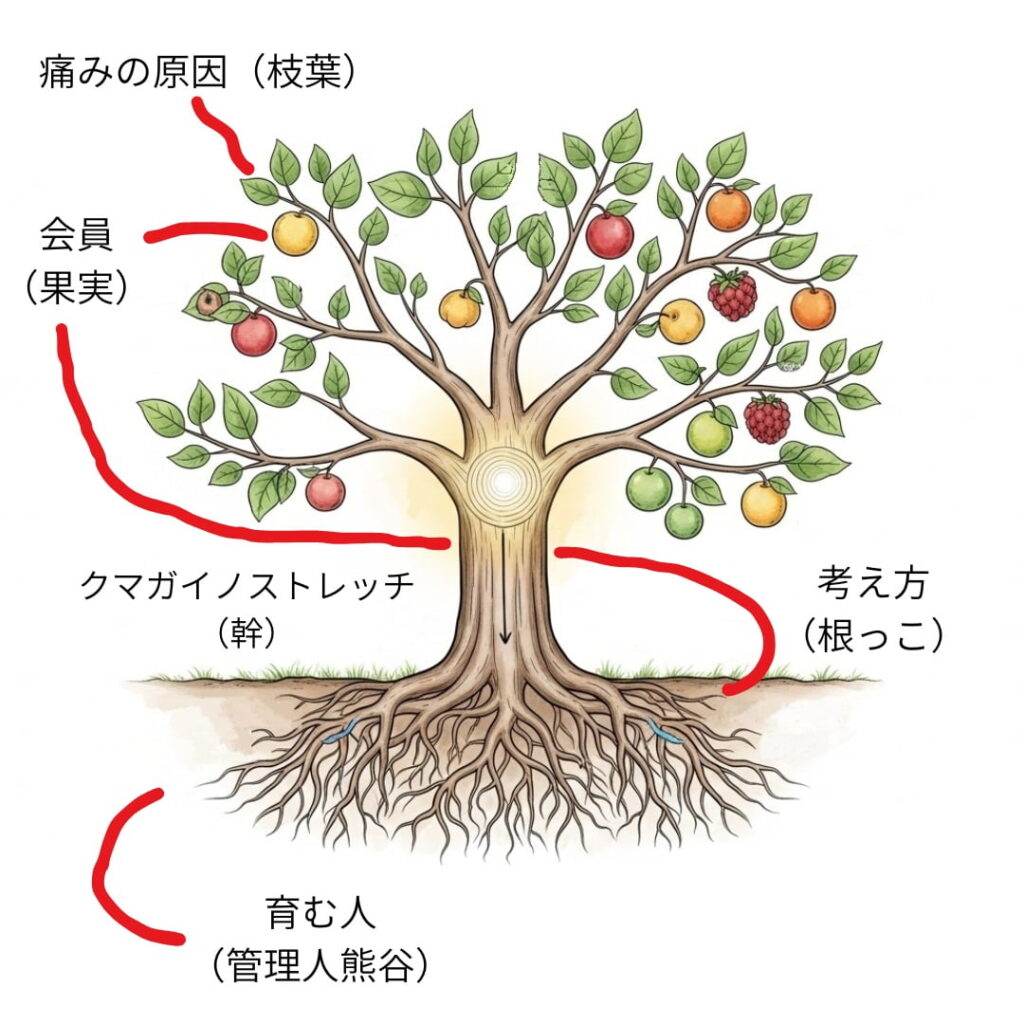くまでの木イメージ