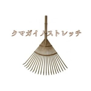クマガイノストレッチバナー