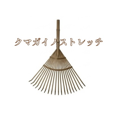 クマガイノストレッチバナー